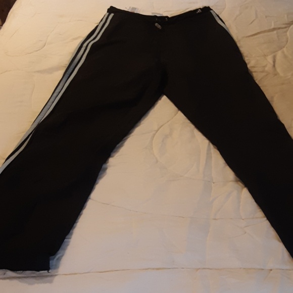 Windbreakers - Picture 3 of 3